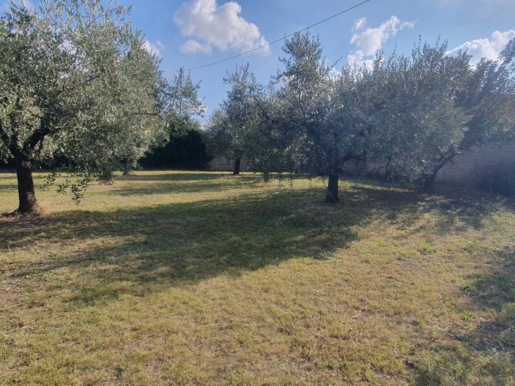 Terreno a San cesareo in Via dei Quarticcioli - Foto 3