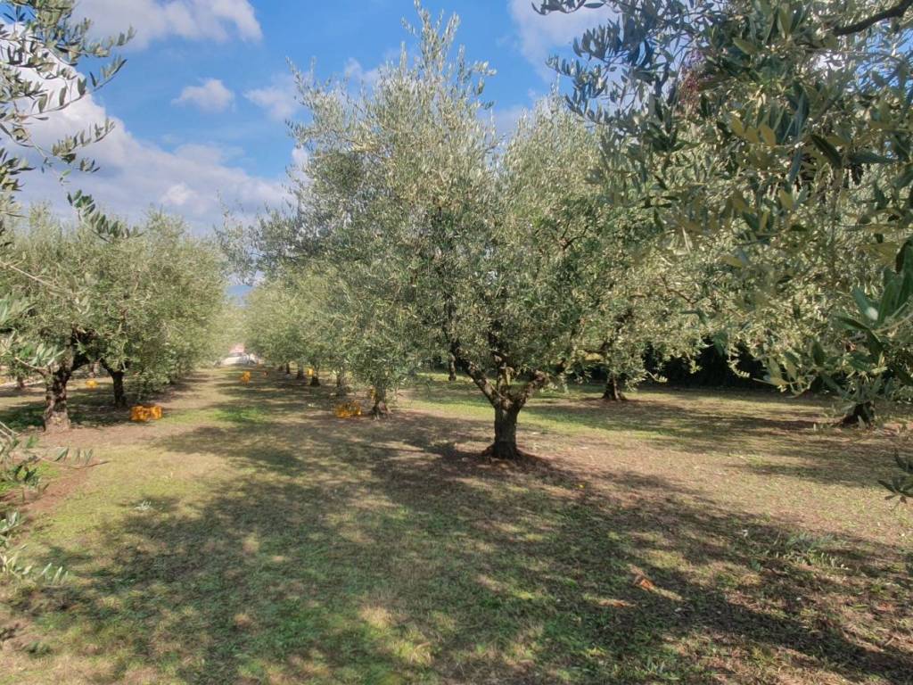 Terreno a San cesareo in Via dei Quarticcioli - Foto 5