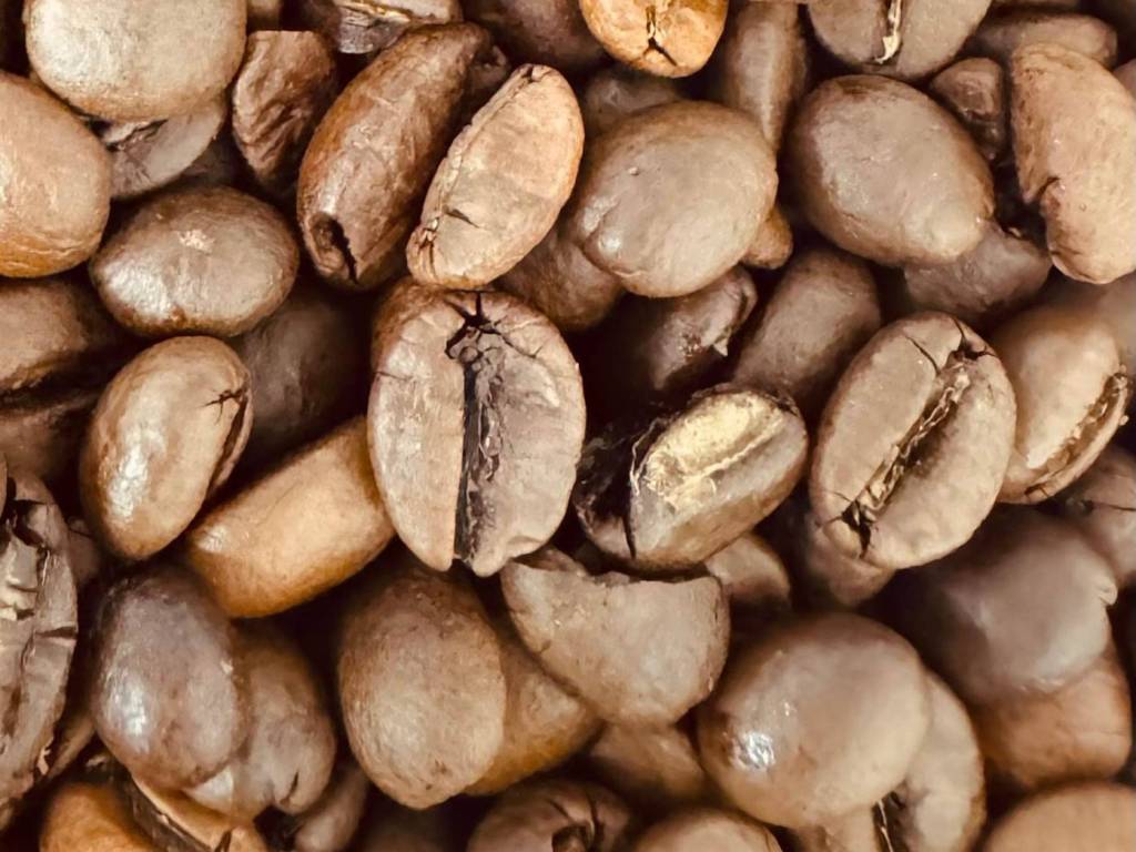 Immobile a Cecina - Foto 3