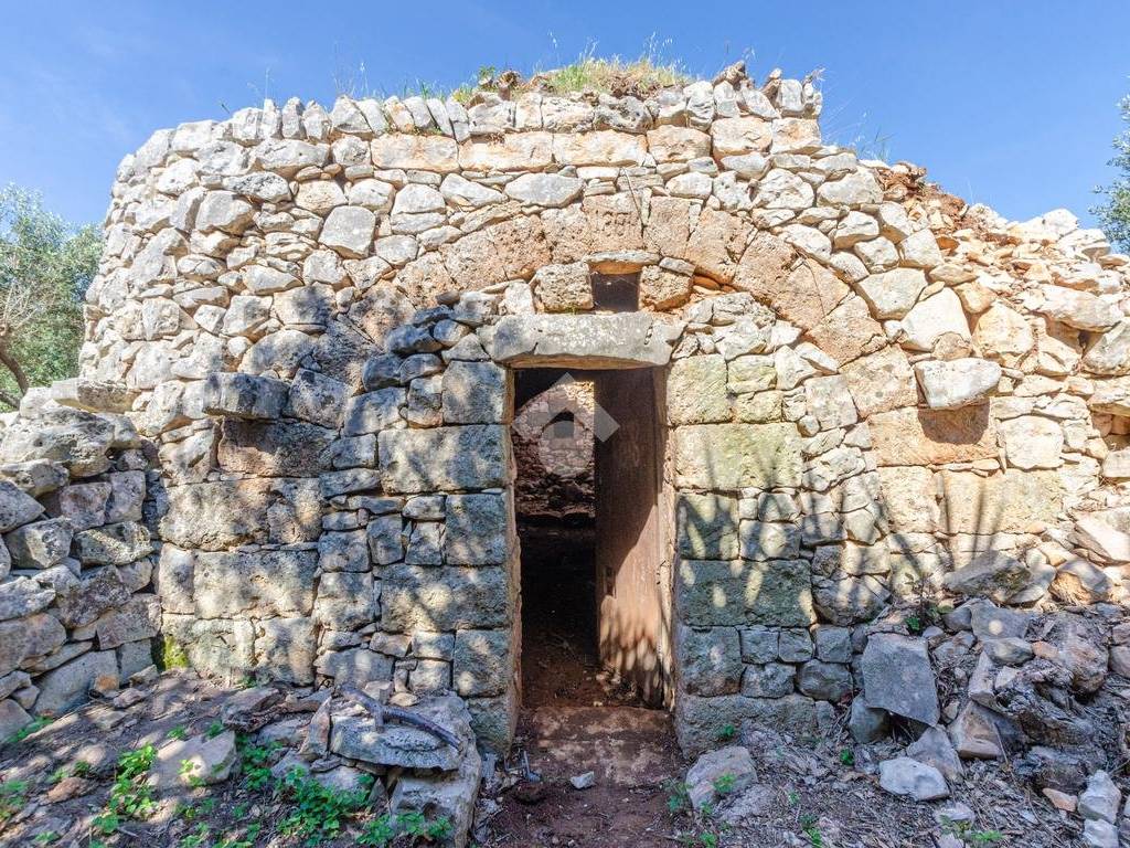 Terreno a Conversano in Contrada Monsignore - Foto 4