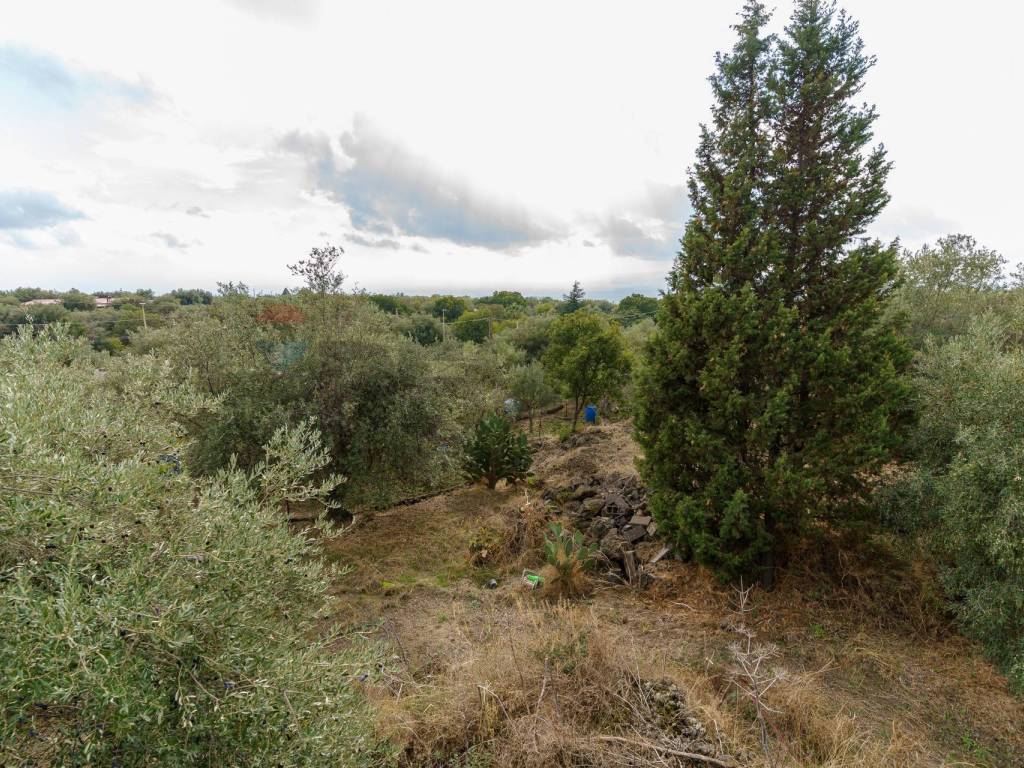 Villa a Belpasso in contrada edere - Foto 3