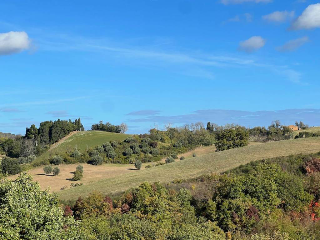 Terreno a Mombaroccio in Via Montemarino - Foto 2