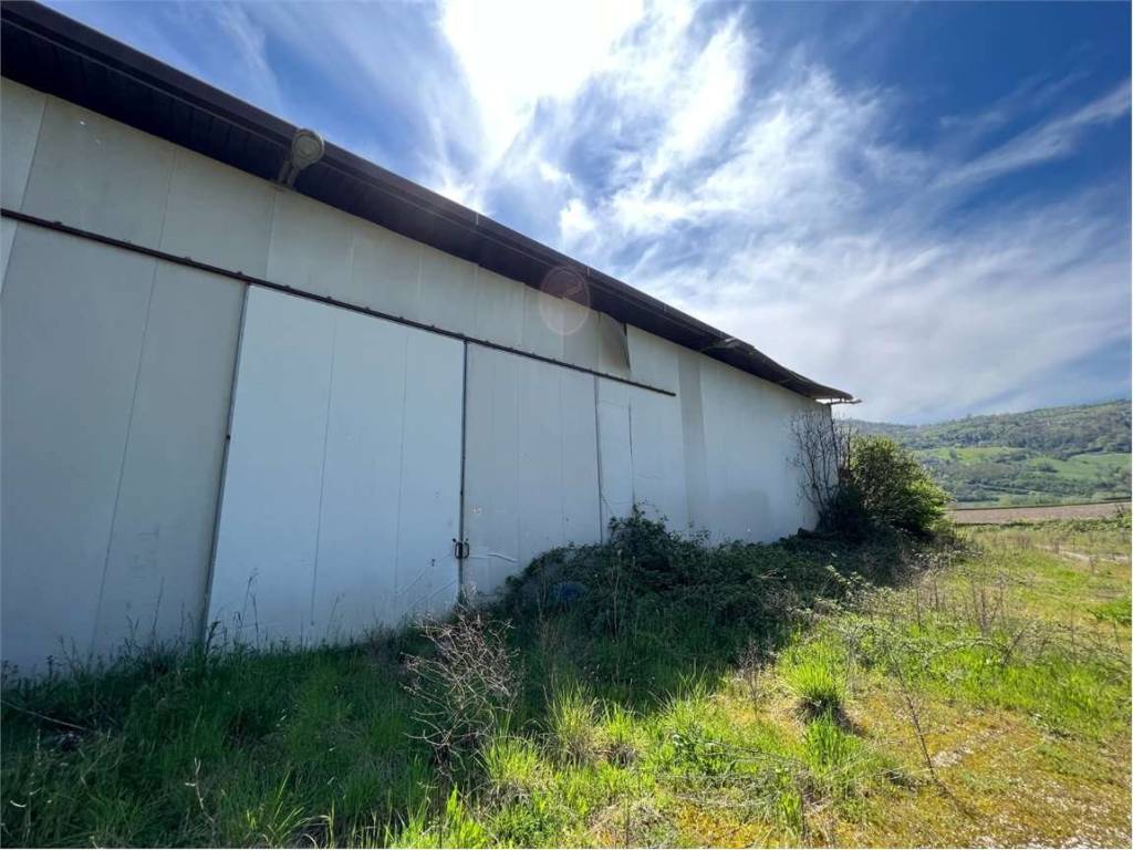 Immobile a Apice in contrada Tignano - Foto 2