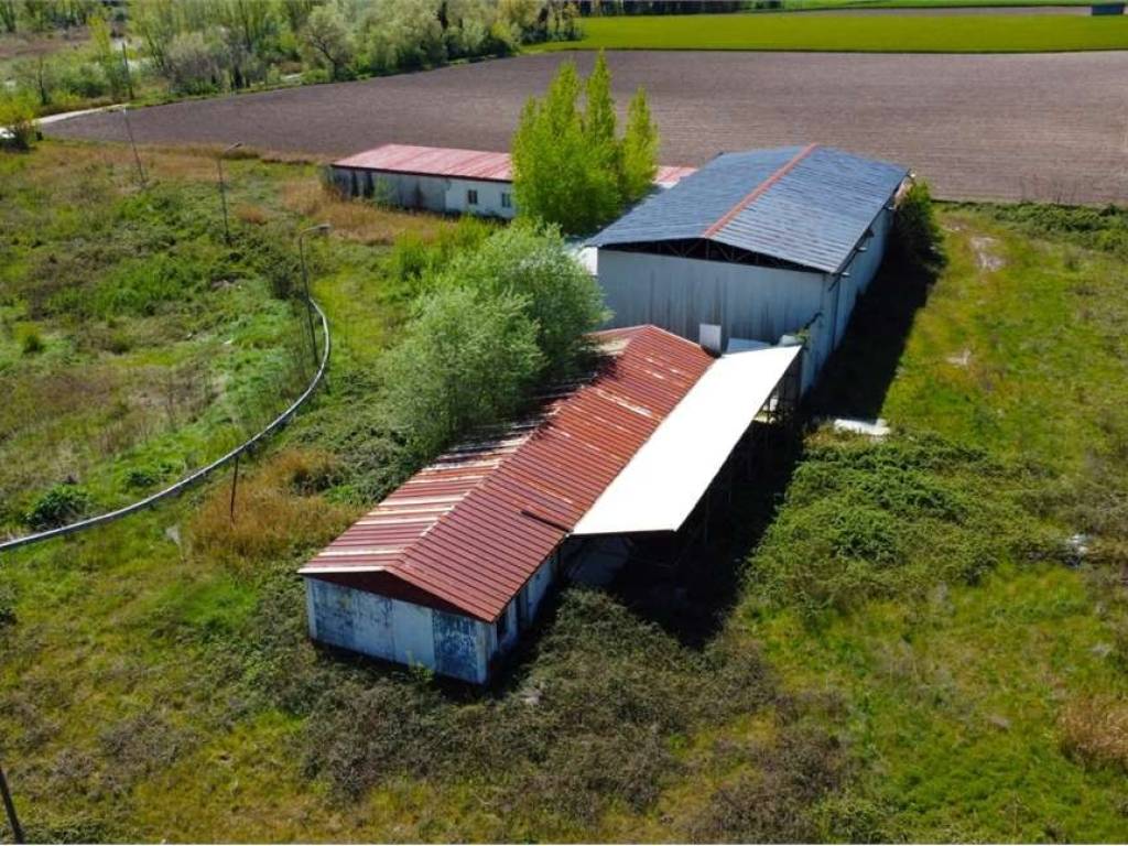 Immobile a Apice in contrada Tignano - Foto 5