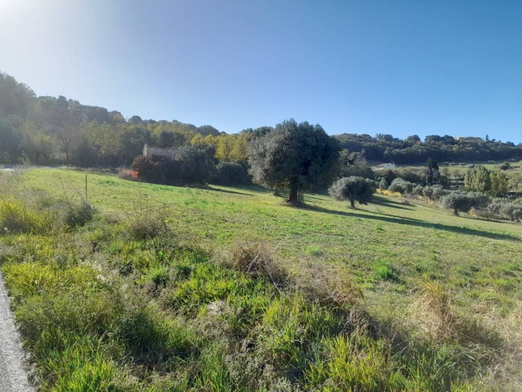 Terreno a Potenza picena in Viale San Girio - Foto 4