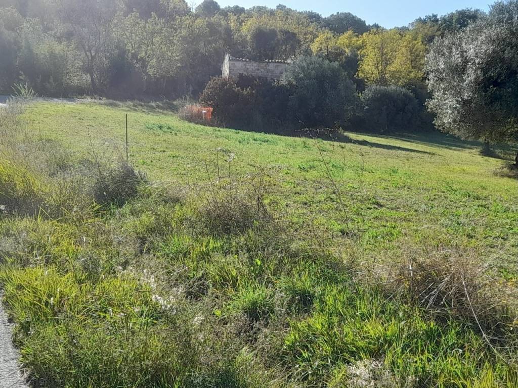 Terreno a Potenza picena in Viale San Girio - Foto 5