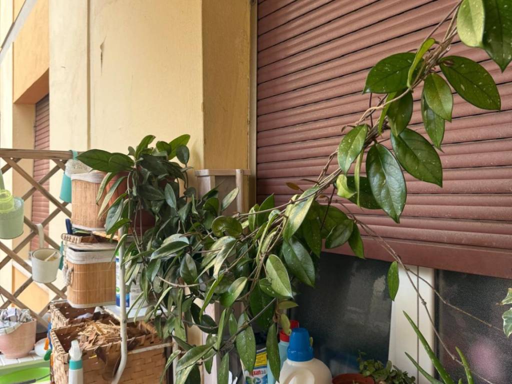 Appartamento a Livorno in Via della Madonna, 50 - Foto 2