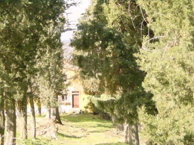 Rustico / casale a Rufina in via di Castiglioni - Foto 4