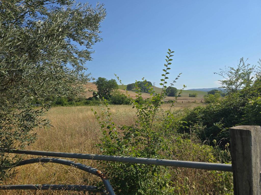 Rustico / casale a Cingoli in Località Bachero - Foto 4