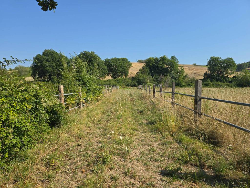 Rustico / casale a Cingoli in Località Bachero - Foto 5