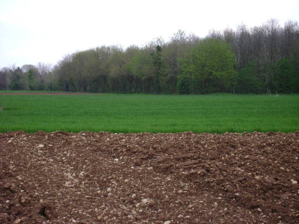 Terreno a Montebelluna in Via Pracolin - Foto 2