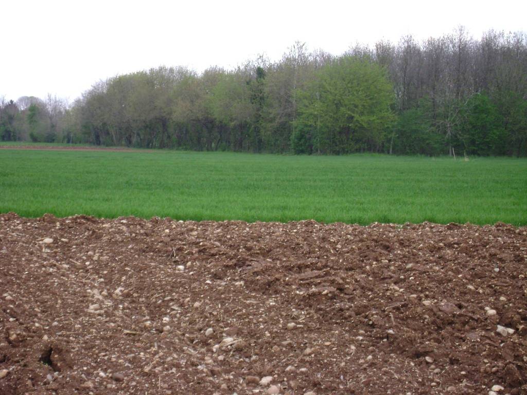 Terreno a Montebelluna in Via Pracolin - Foto 3