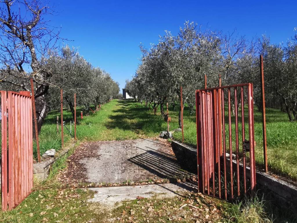 Villa a Sgurgola in Via Fonte del Cerro (Villa Magna) - Foto 2