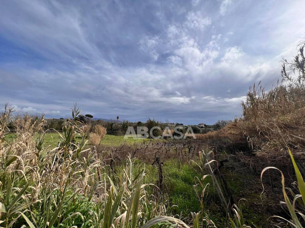 Terreno a Velletri in Via Appia Sud - Foto 2