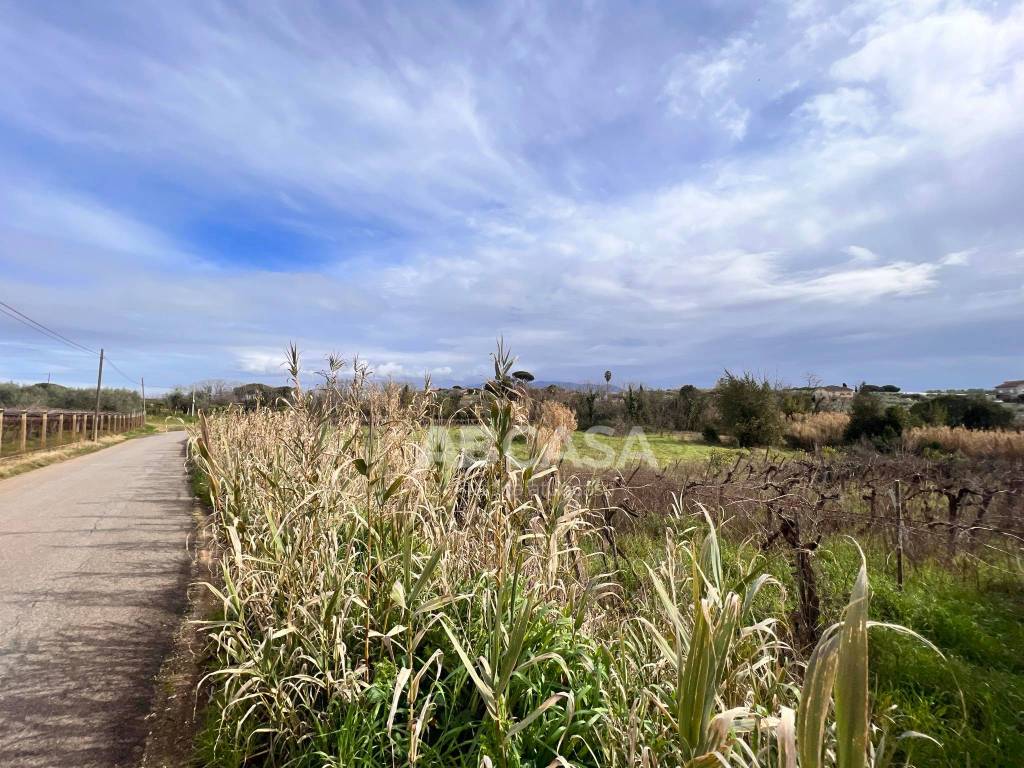 Terreno a Velletri in Via Appia Sud - Foto 3