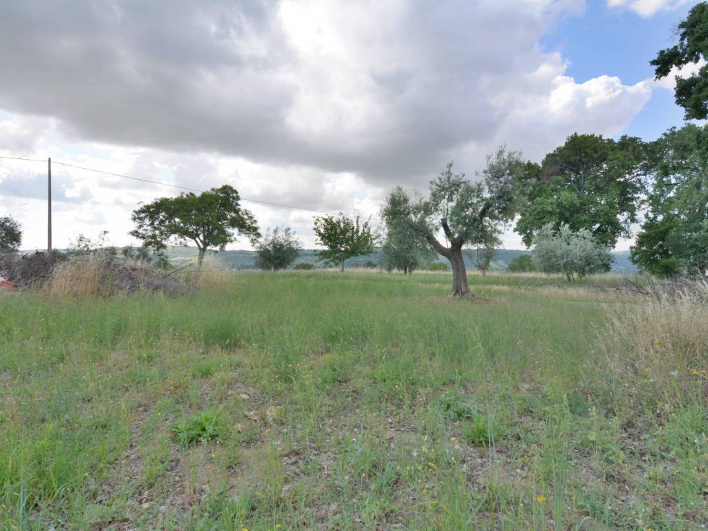 Terreno a Montecassiano in Località San Liberato - Foto 2