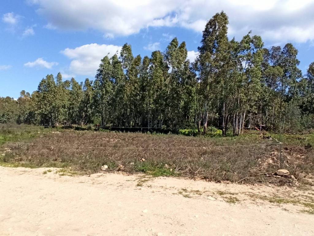 Terreno a Castiadas in Olia Speciosa - Foto 2