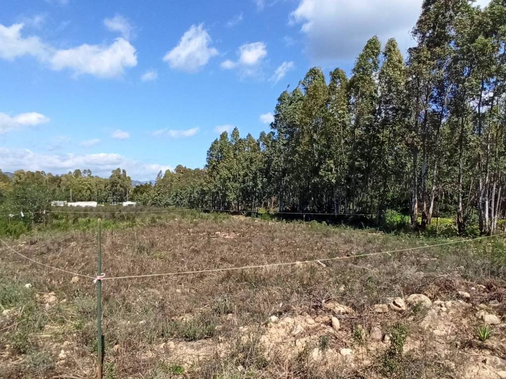 Terreno a Castiadas in Olia Speciosa - Foto 3