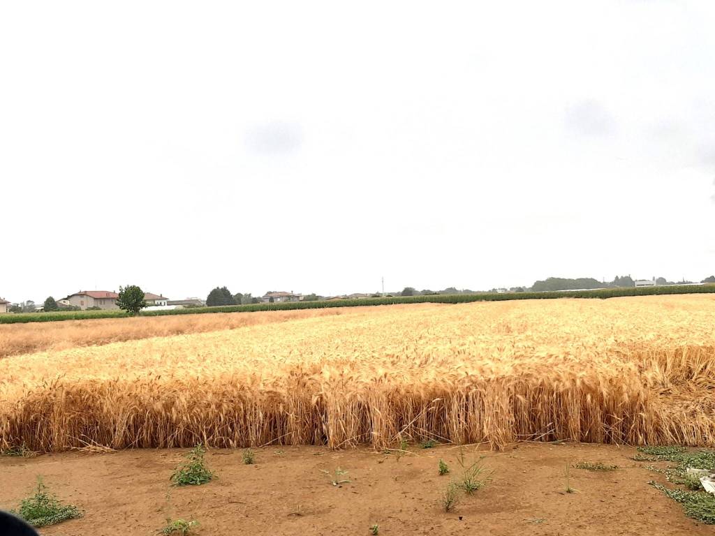 Villa a Santarcangelo di romagna in Via Zanni - Foto 3