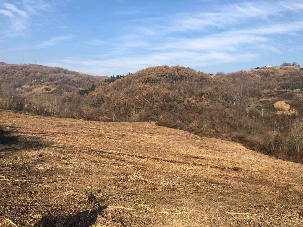 Terreno a Montesarchio - Foto 3