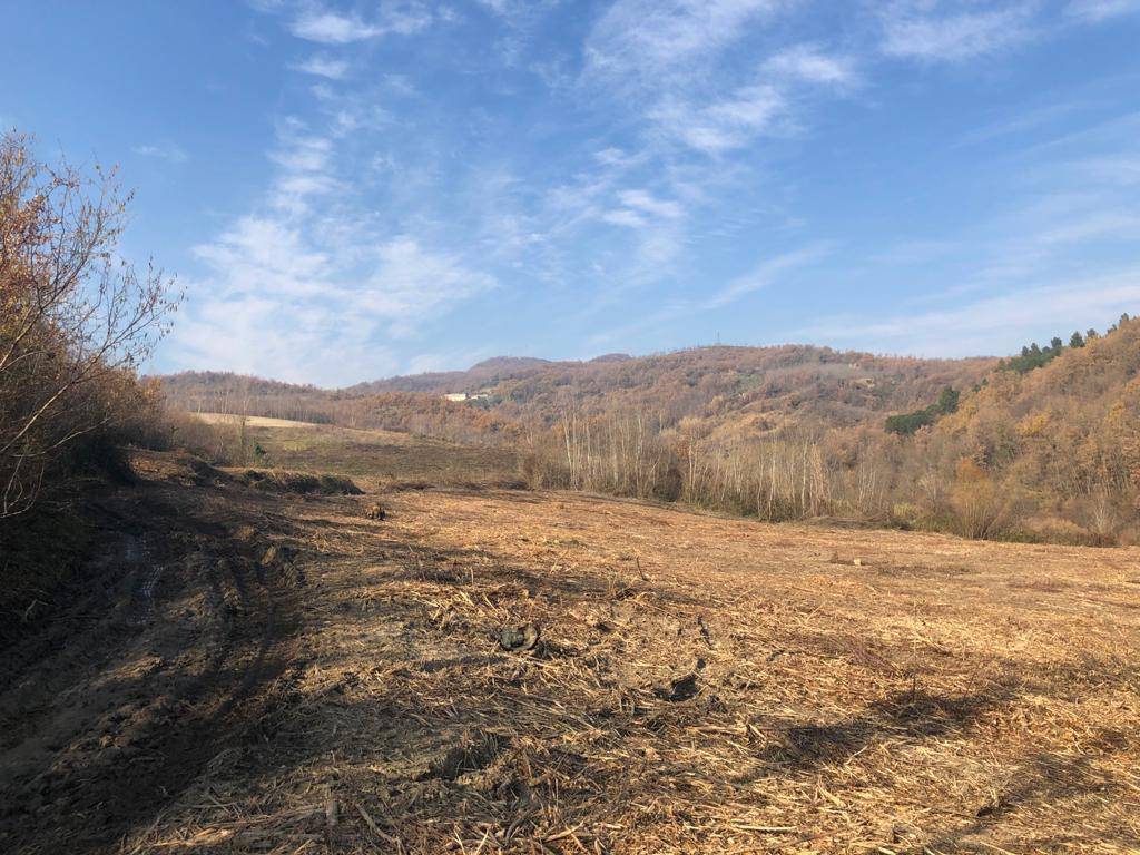 Terreno a Montesarchio - Foto 5