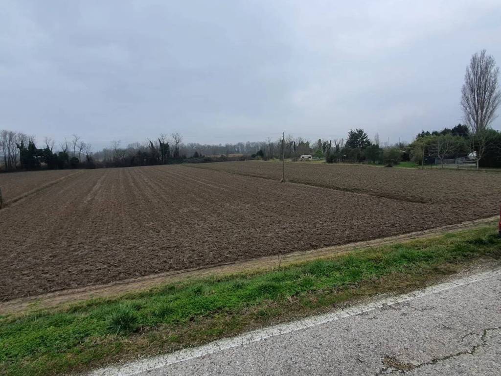 Terreno a Eraclea in Via Pascoli No Number - Foto 2