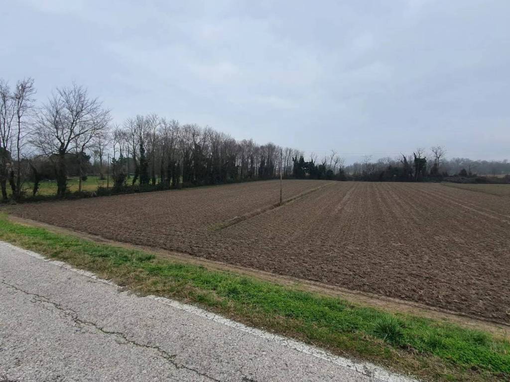 Terreno a Eraclea in Via Pascoli No Number - Foto 3