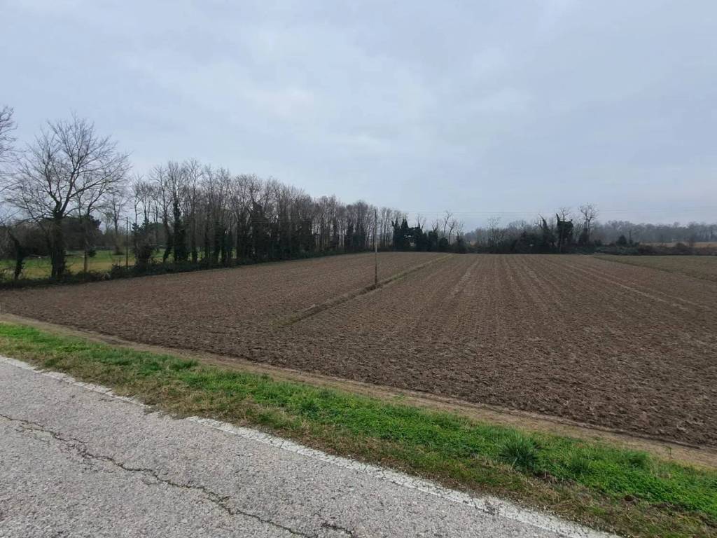 Terreno a Eraclea in Via Pascoli No Number - Foto 4