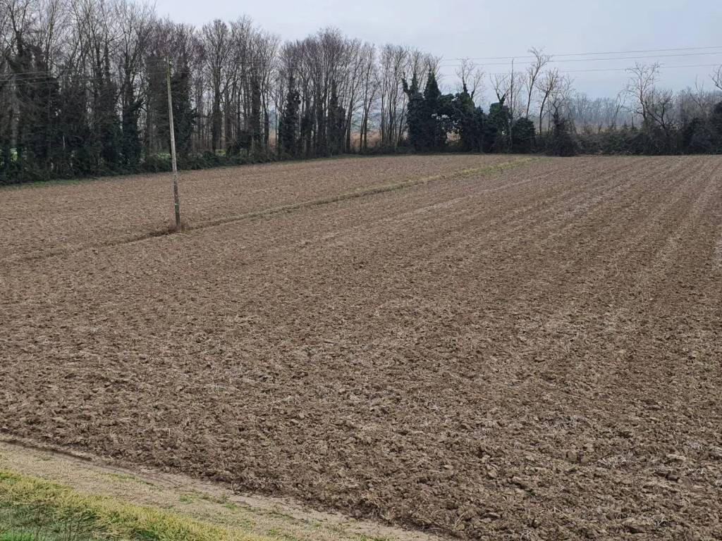 Terreno a Eraclea in Via Pascoli No Number - Foto 5