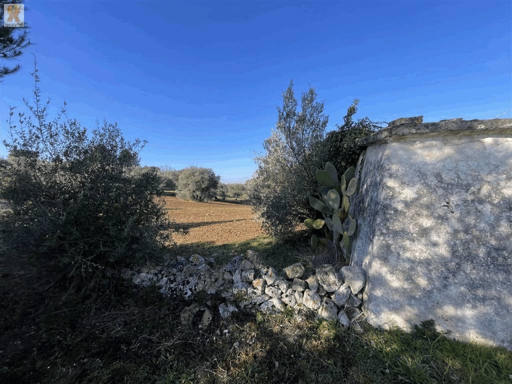 Rustico / casale a Cisternino in Contrada Don Peppe Sole - Foto 2