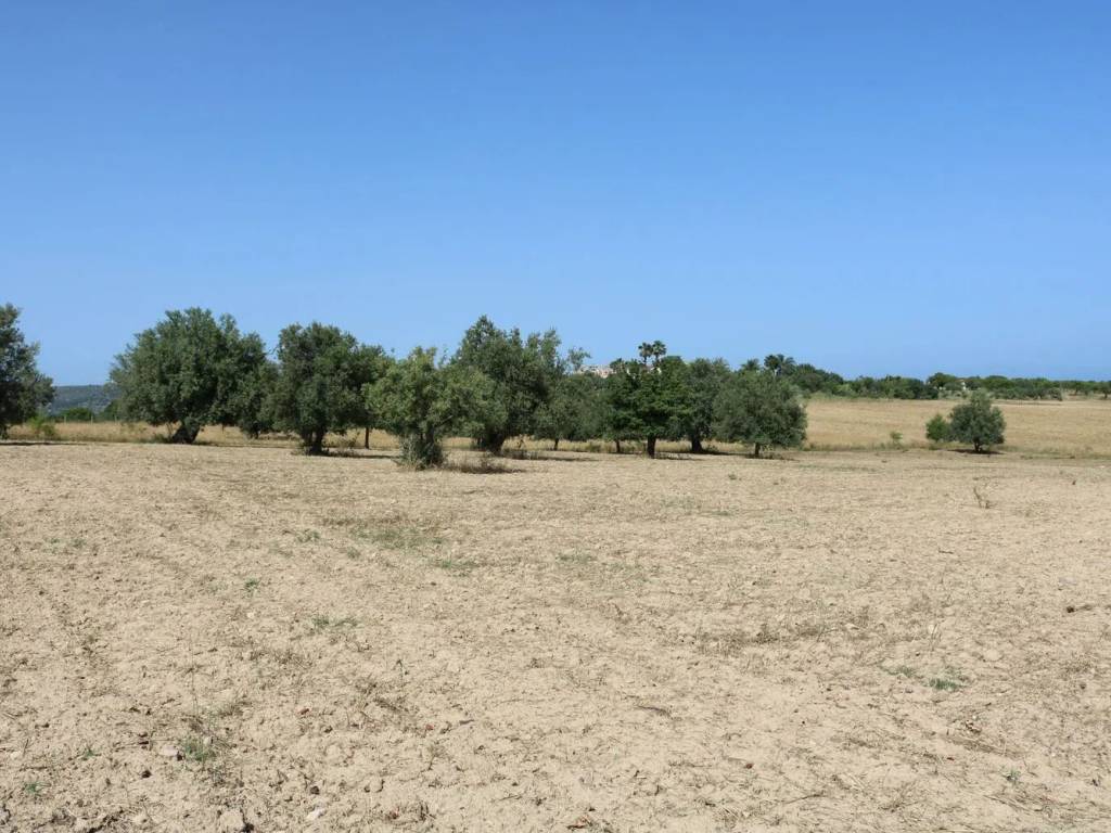 Terreno a Noto in Contrada Stafenna No Number - Foto 2