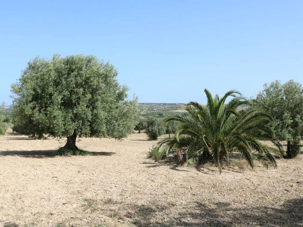 Terreno a Noto in Contrada Stafenna No Number - Foto 3