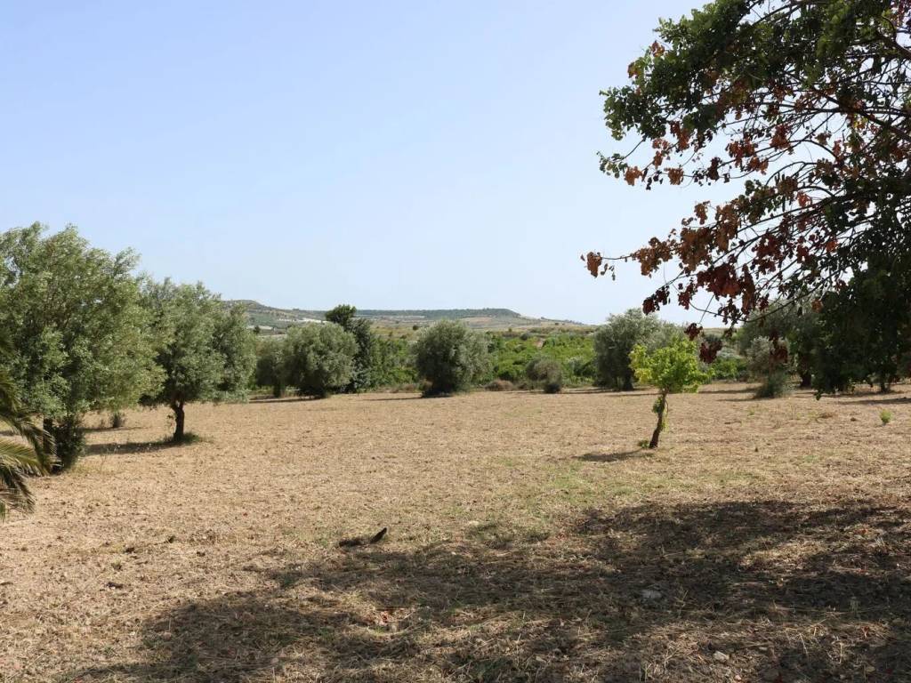 Terreno a Noto in Contrada Stafenna No Number - Foto 4