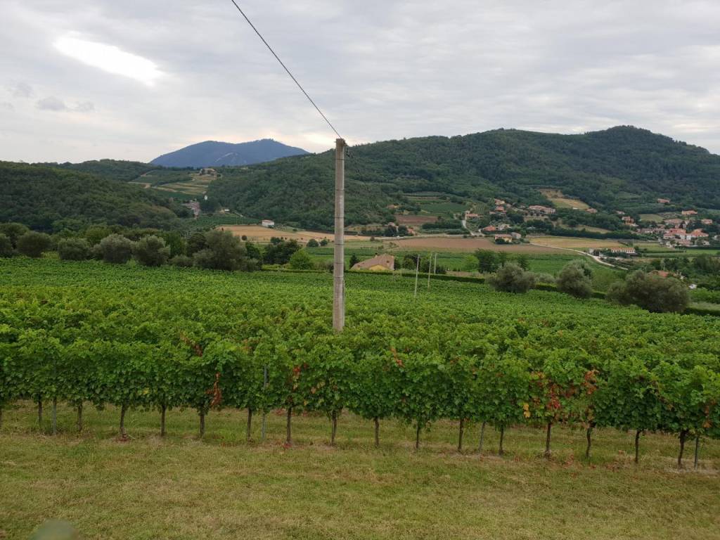 Rustico / casale a Baone in piazza 25 aprile - Foto 2