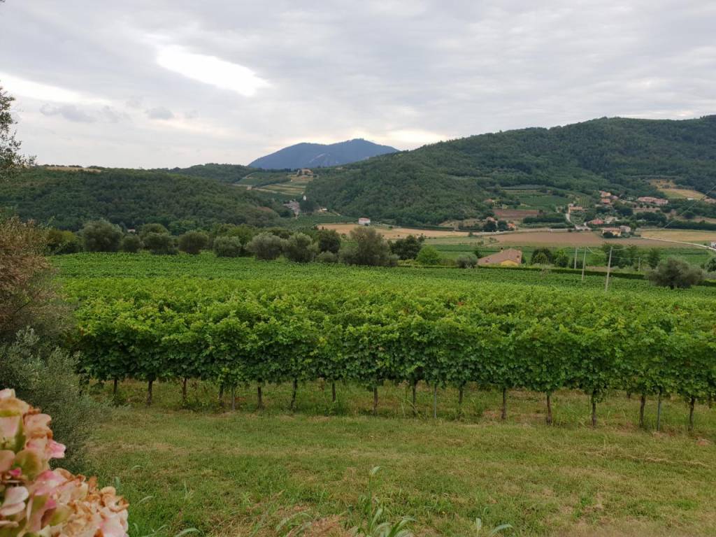 Rustico / casale a Baone in piazza 25 aprile - Foto 3