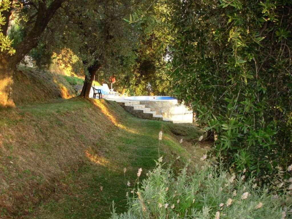 Villa a Seravezza - Foto 4