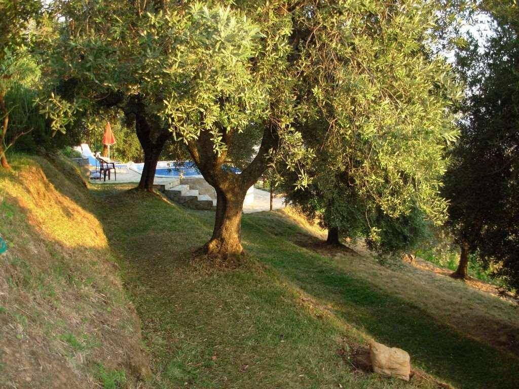 Villa a Seravezza - Foto 5