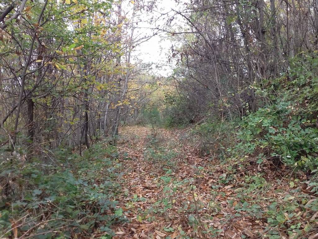 Terreno a Cava de' tirreni in Croce - Foto 2