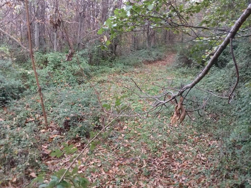 Terreno a Cava de' tirreni in Croce - Foto 4
