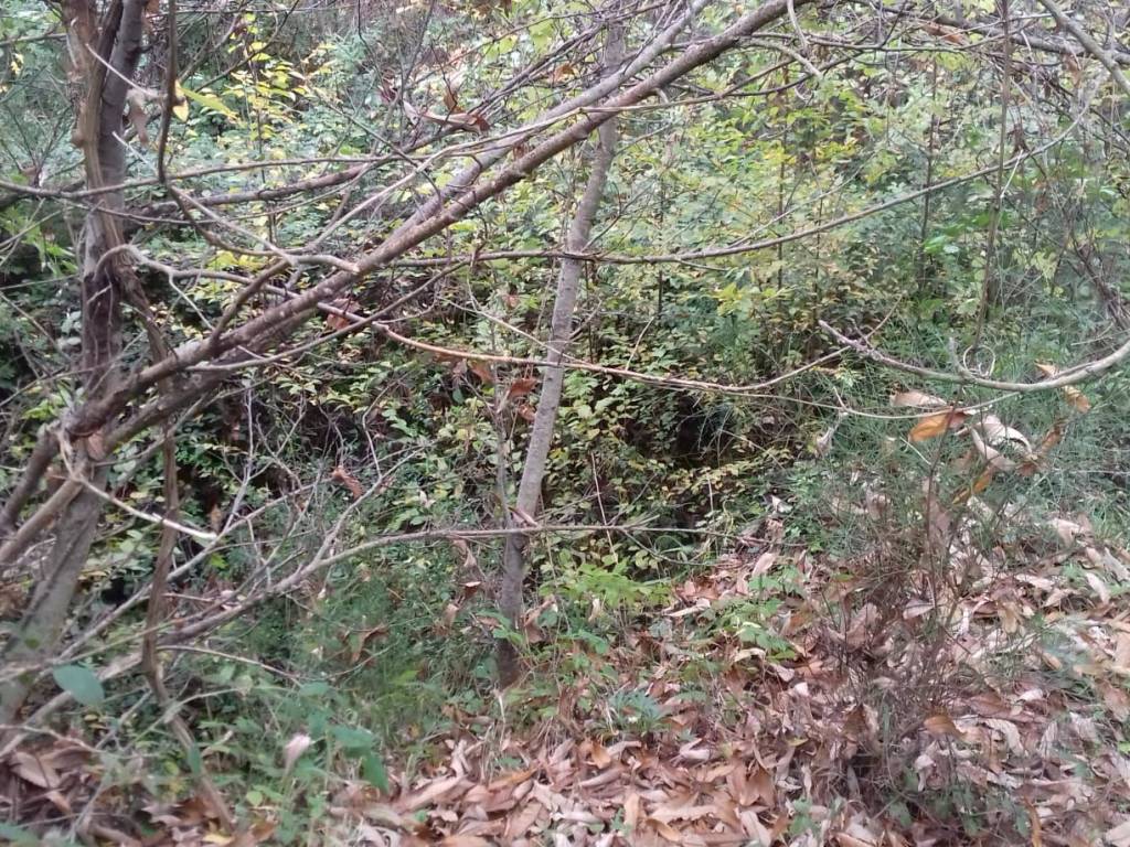 Terreno a Cava de' tirreni in Croce - Foto 5