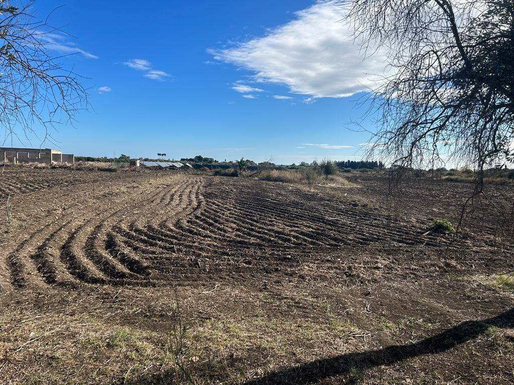 Terreno a Siracusa in traversa c.da Mortellito - Foto 2