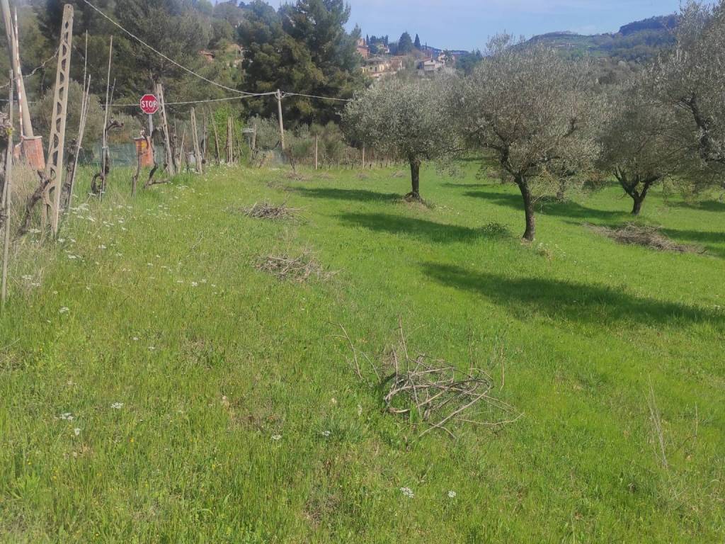 Terreno a Perugia - Foto 2