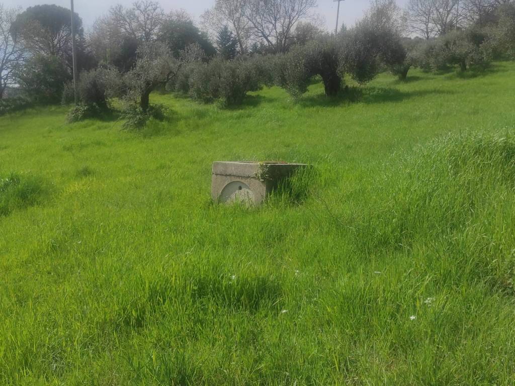 Terreno a Perugia - Foto 5