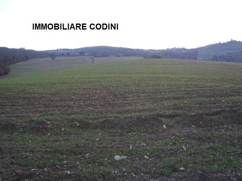 Terreno a Todi in Strada Provinciale di Pontemartino - Foto 2