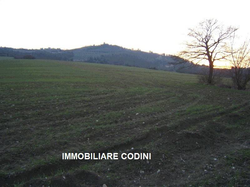 Terreno a Todi in Strada Provinciale di Pontemartino - Foto 3