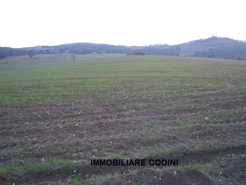 Terreno a Todi in Strada Provinciale di Pontemartino - Foto 4