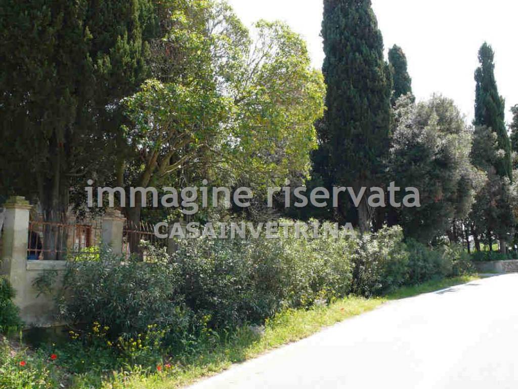 Villa a Scansano in POGGIO TONDO , - Foto 4