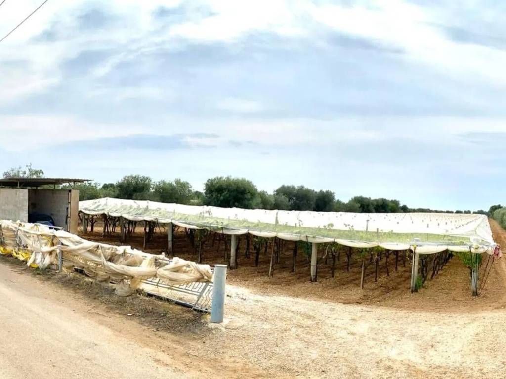 Terreno a Grottaglie in Contrada Le Monache - Foto 2