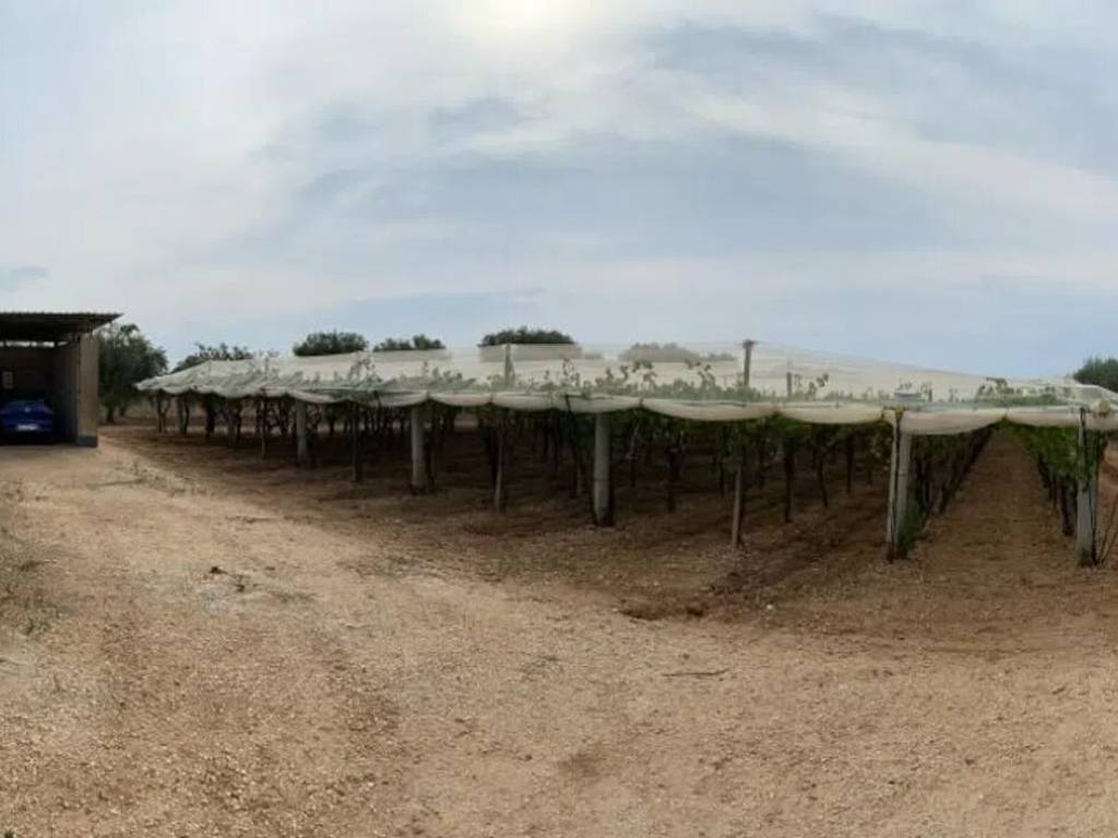 Terreno a Grottaglie in Contrada Le Monache - Foto 3