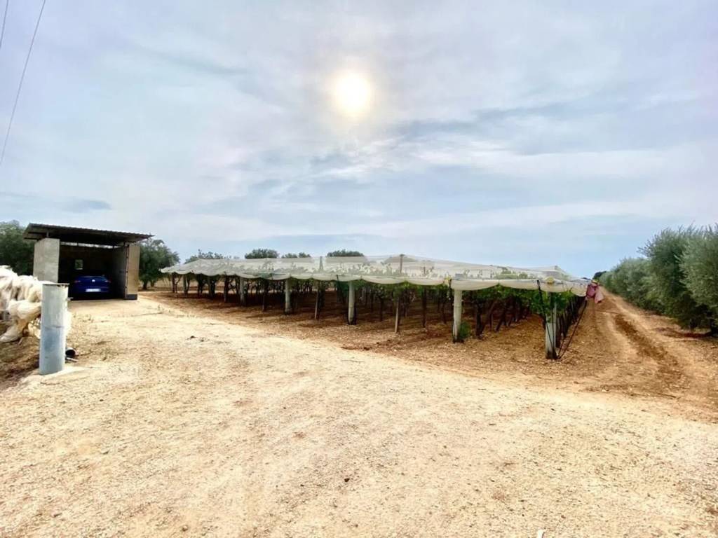 Terreno a Grottaglie in Contrada Le Monache - Foto 4